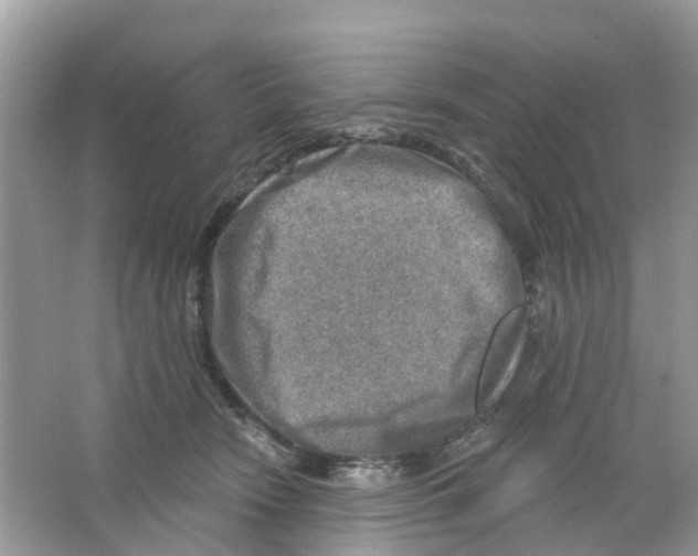 X0000063530466200602172247