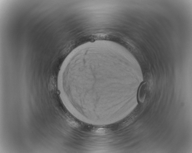 X0000063530467200602172247