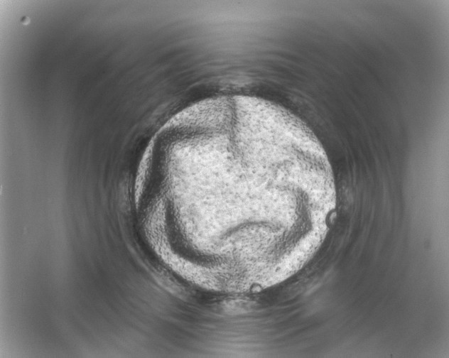 X0000063530468200602172247