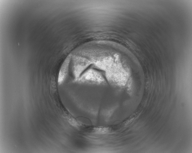 X0000063530469200602172247