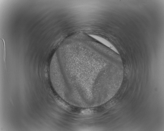 X0000063530470200602172247