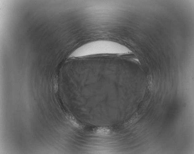 X0000063530471200602172247