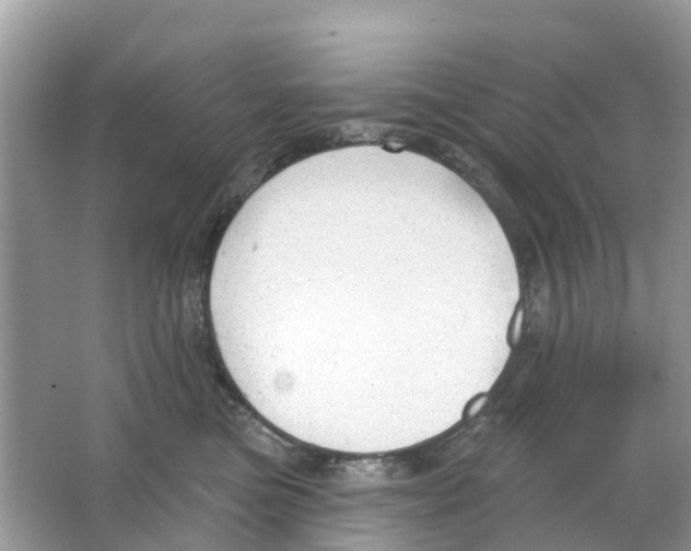 X0000063530473200602172247