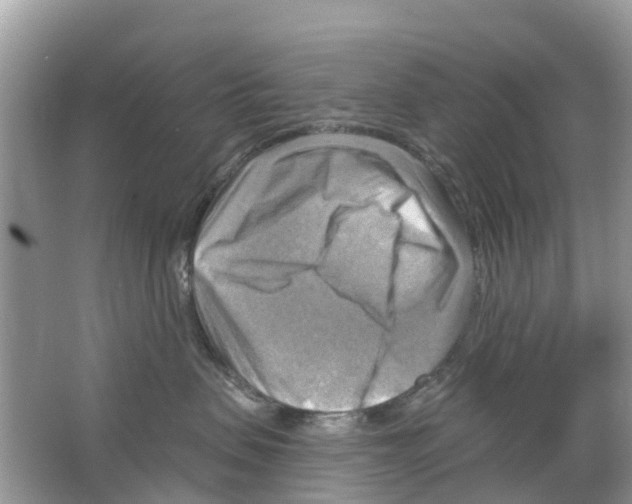 X0000063530479200602172248