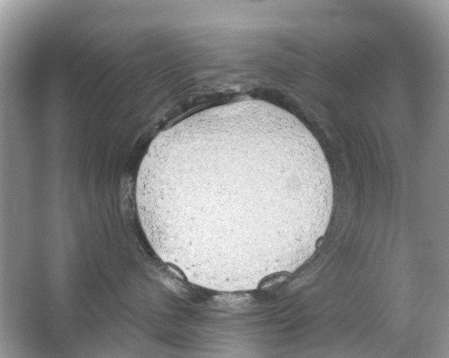 X0000063530480200602172248