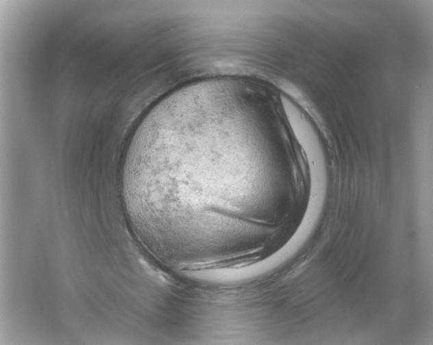 X0000063530481200602172247