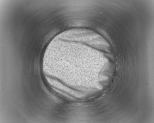 X0000063530482200602172247