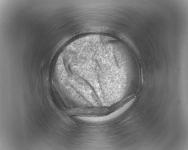 X0000063530483200602172247