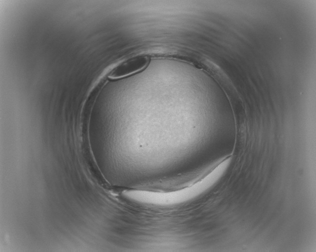 X0000063530484200602172247