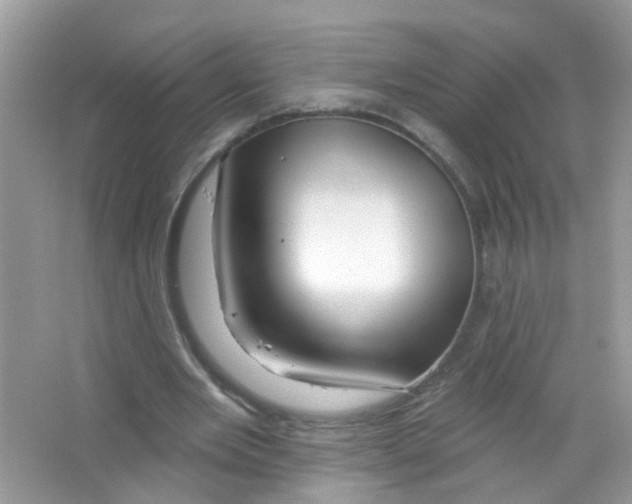 X0000063530485200602172247