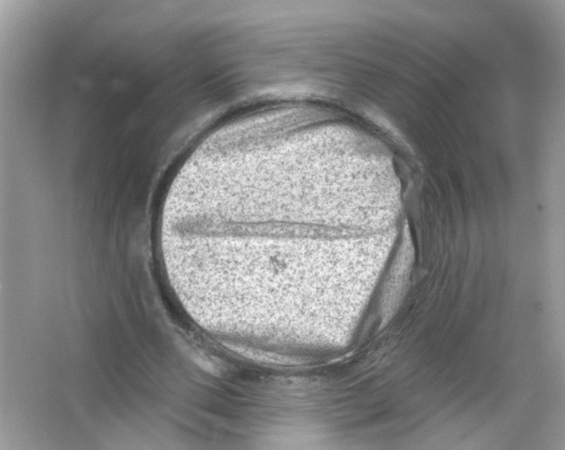 X0000063530486200602172247