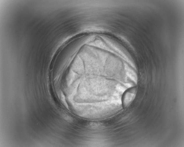 X0000063530487200602172247