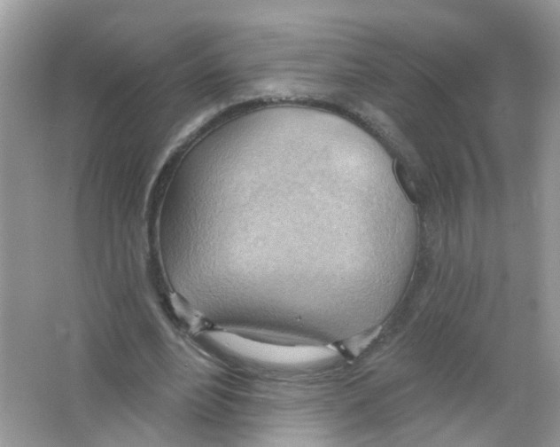 X0000063530488200602172247