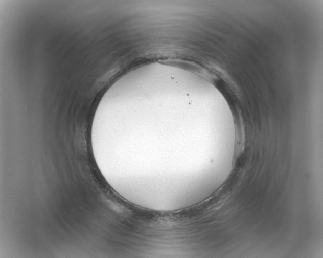 X0000063530489200602172247