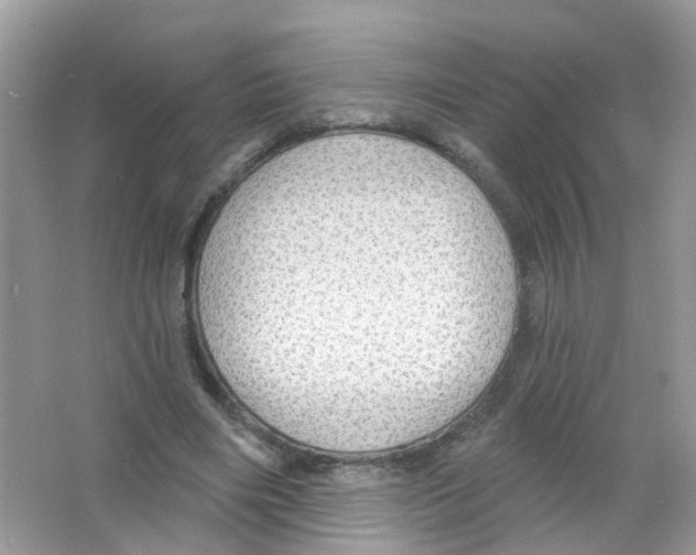 X0000063530490200602172247