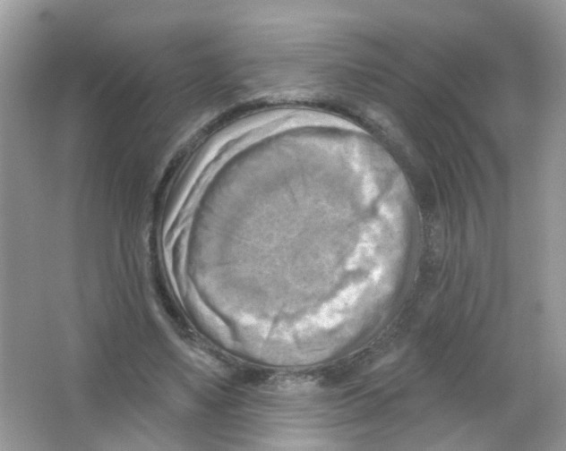 X0000063530491200602172247