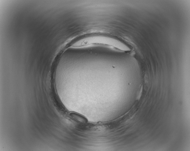 X0000063530492200602172247