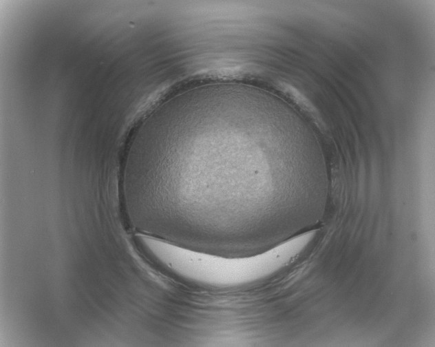 X0000063530493200602172247