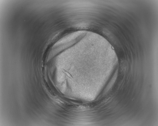 X0000063530494200602172246