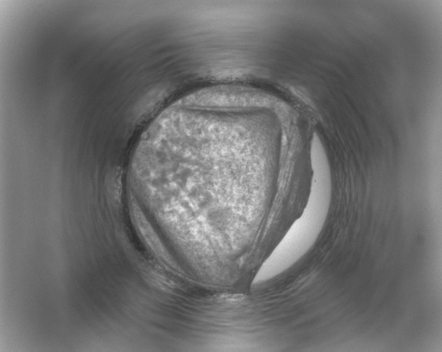 X0000063530495200602172246