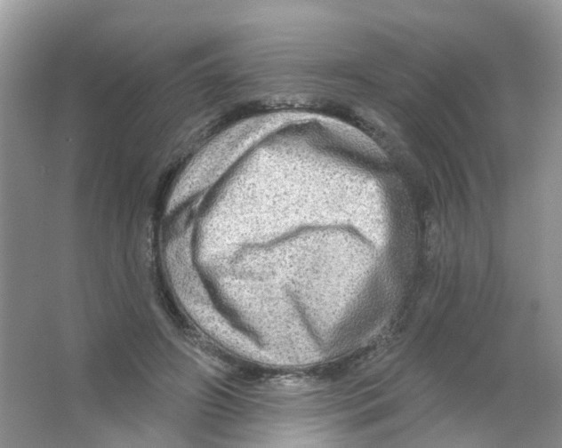 X0000063530498200602172246