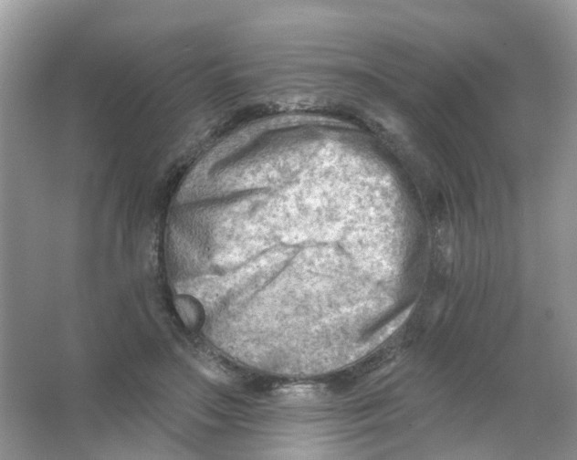 X0000063530499200602172246