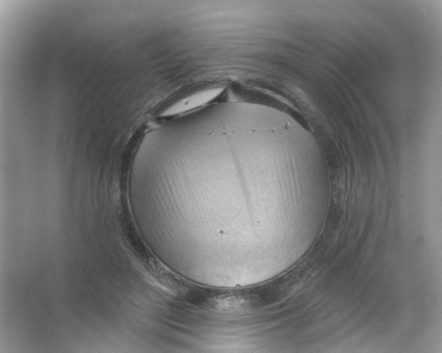 X0000063530500200602172246