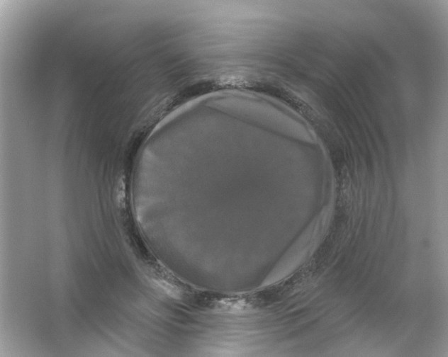 X0000063530502200602172246