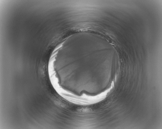 X0000063530503200602172246