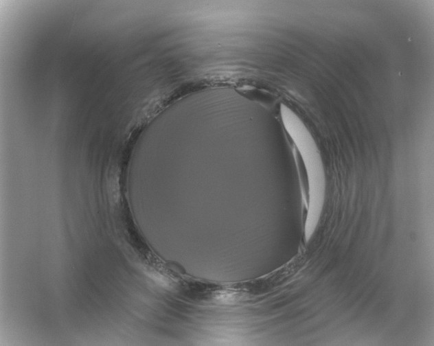 X0000063530504200602172246