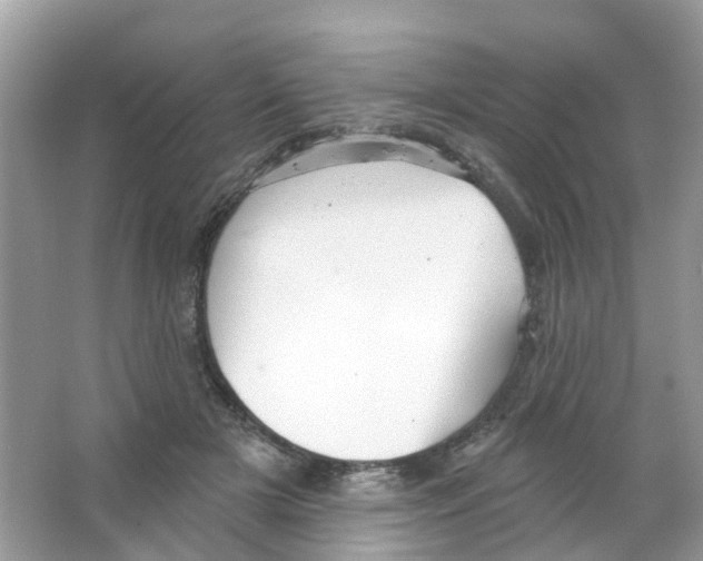 X0000063530505200602172246