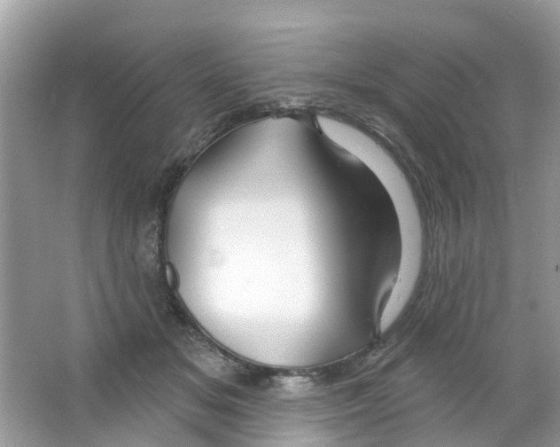 X0000063530509200602172246