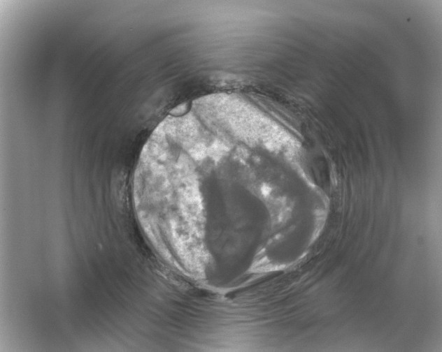 X0000063530511200602172246