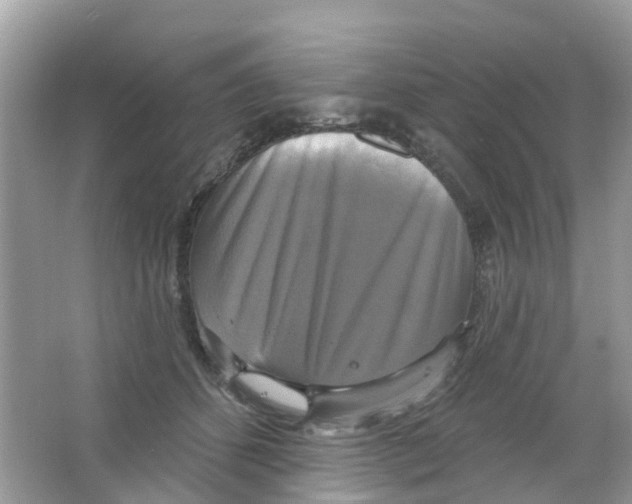 X0000063530512200602172246