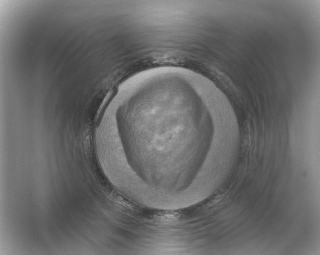 X0000063530513200602172246