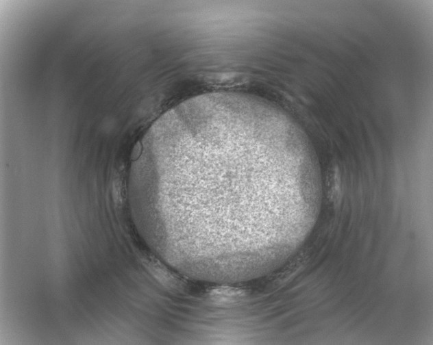 X0000063530515200602172246