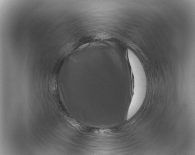 X0000063530517200602172246