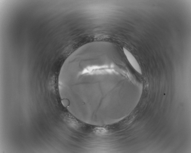 X0000063530519200602172246