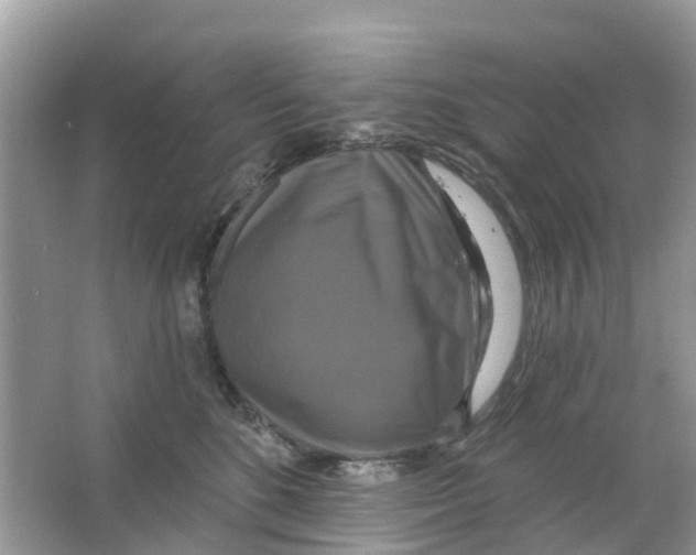 X0000063530520200602172246