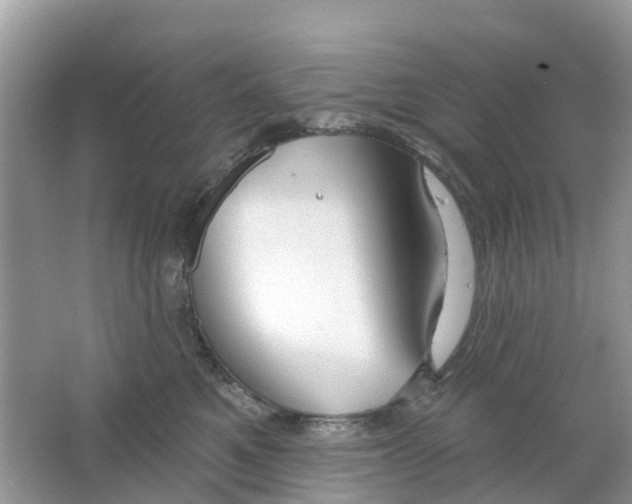 X0000063530521200602172246