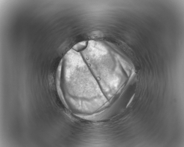 X0000063530523200602172246