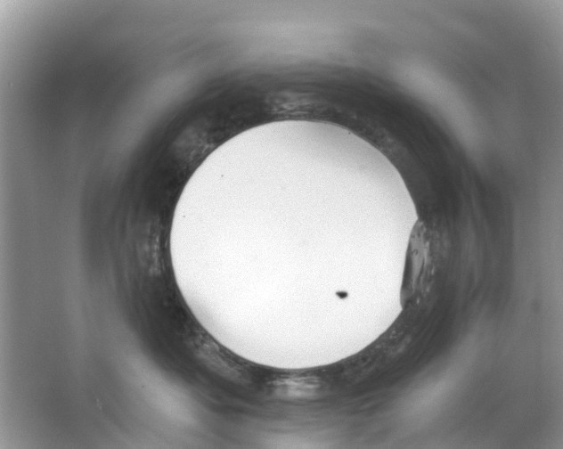 X0000063530525200602172246