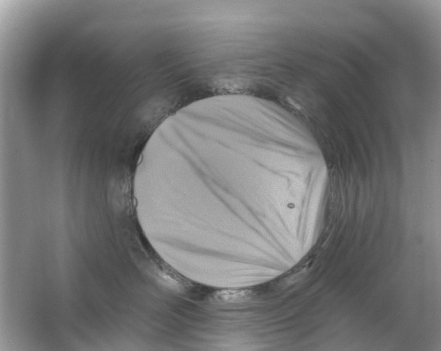 X0000063530526200602172246