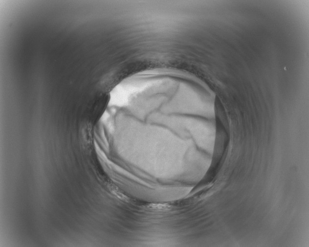 X0000063530528200602172246