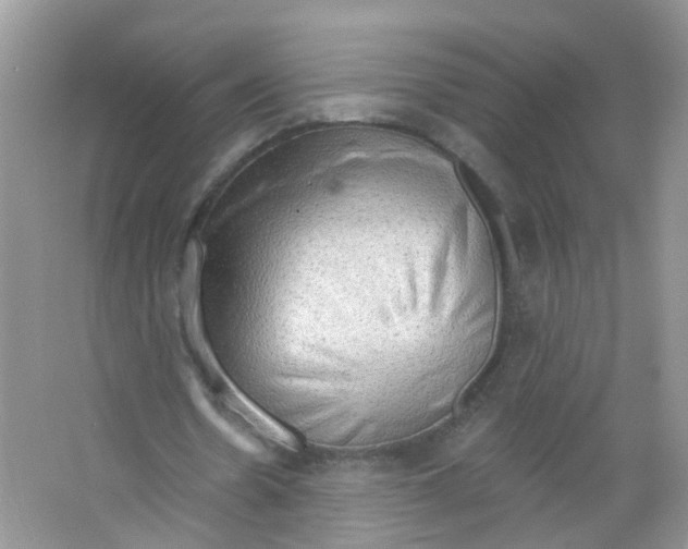 X0000063530530200602172245