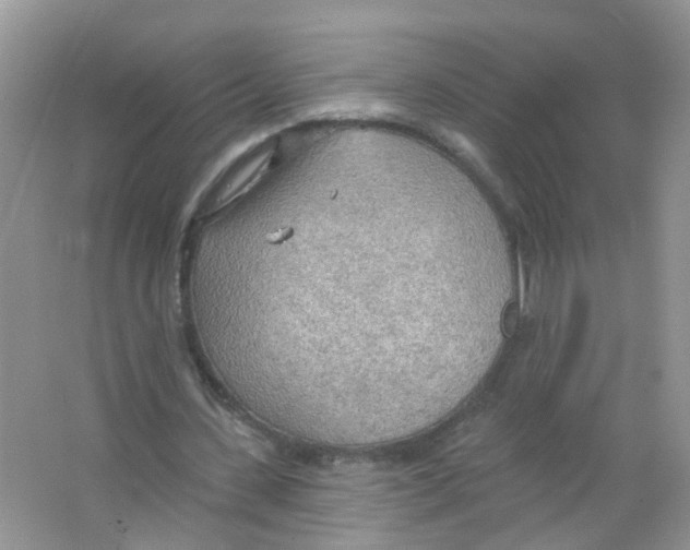 X0000063530531200602172245