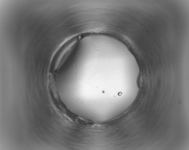 X0000063530532200602172245