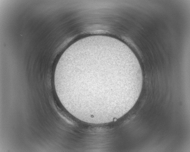 X0000063530533200602172245