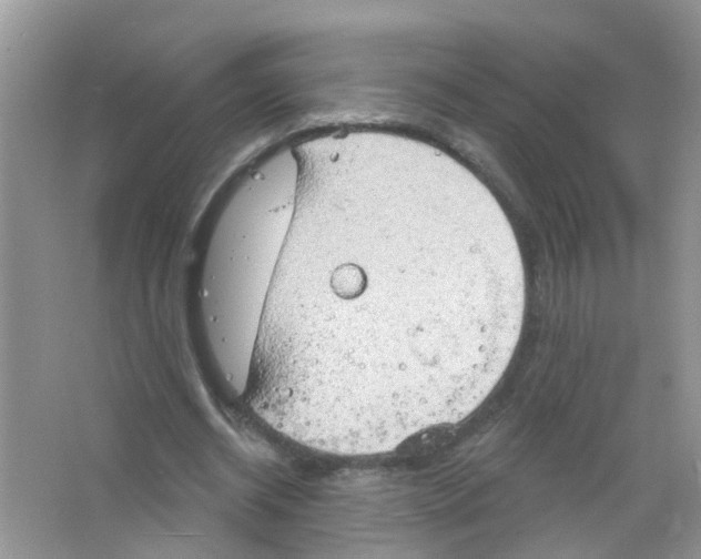 X0000063530534200602172245