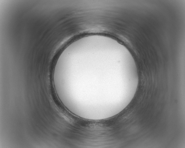 X0000063530535200602172245